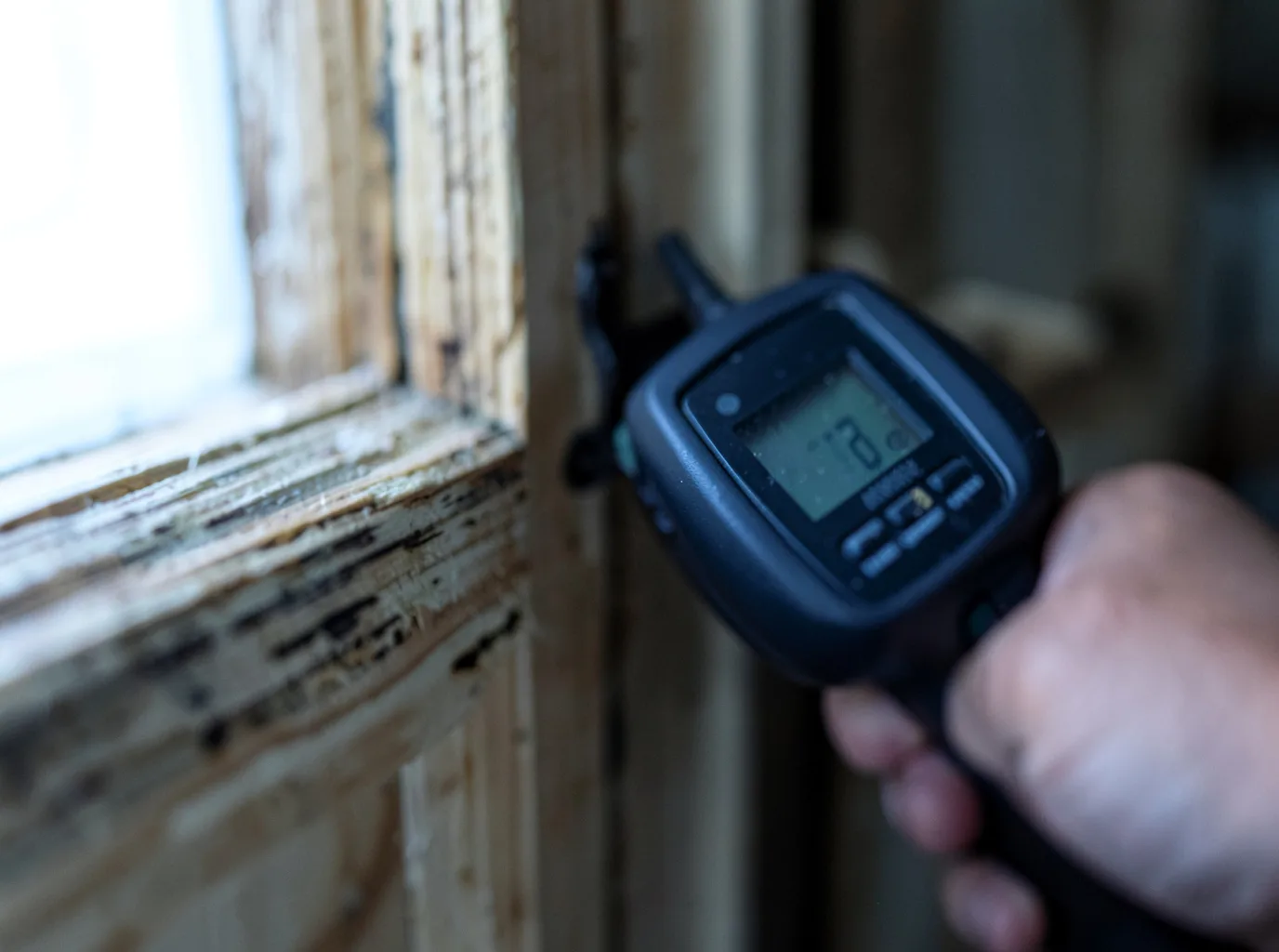 Moisture Inspection And Documentation in Oakland, MS